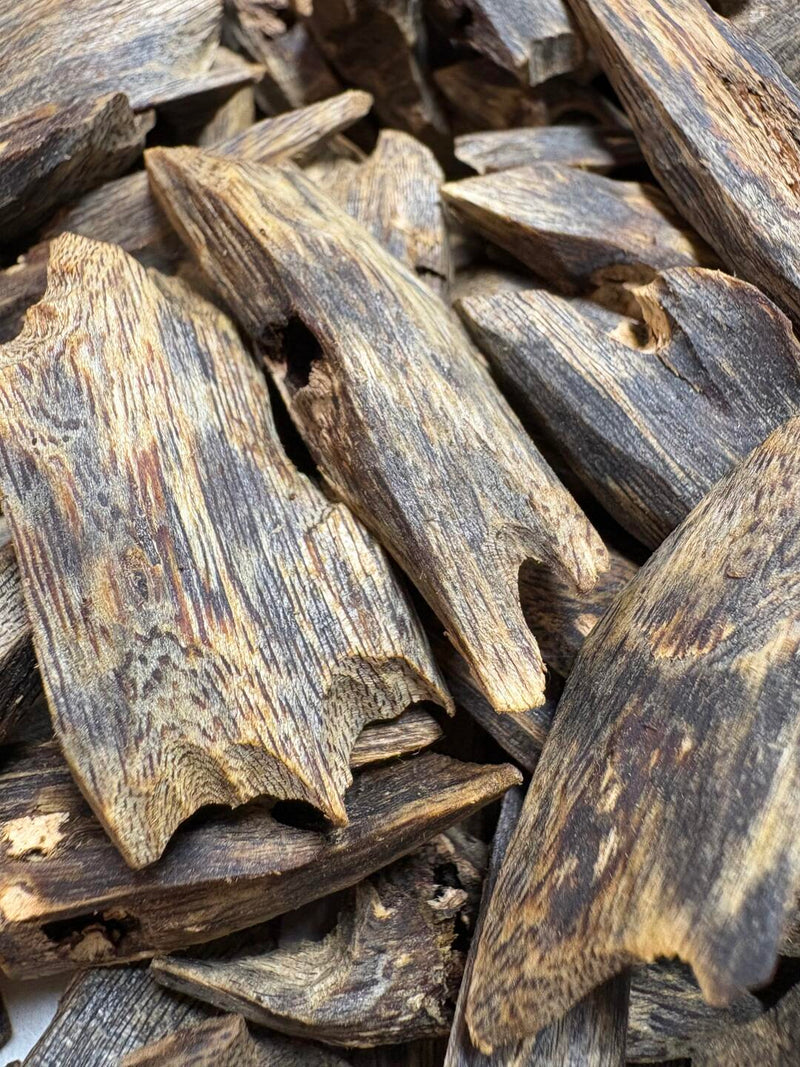 Kyara Agarwood 